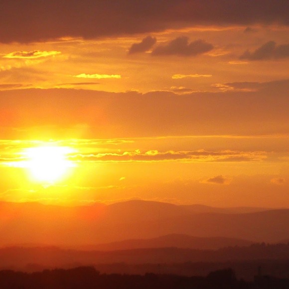 Meet your Posher, Mimi - Picture 1 of 1